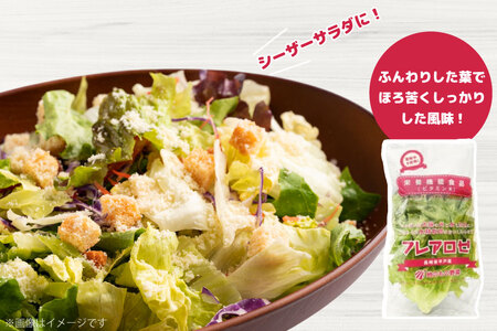 レタス 水耕栽培 4種 12袋 セット 3回 定期便 総計36袋 食べ比べ 詰め合わせ [モロフジファーム 長崎県 平戸市 hr42bgy420248]