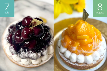 ケーキ 大人のタルト 定期便 6回 総計6ホール [心優-Cotoyu Sweets- 長崎県 平戸市 hr42bjo490081]