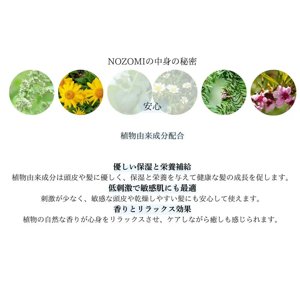 【福岡市内製造】NOZOMIボタニカルシャンプー 400ml