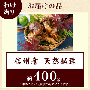 父の日 【訳あり】数量限定/信州産「天然松茸」（約400g前後）