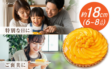 【偶数月 5回定期便】季節の タルト 定期便 / ティラミス お菓子 ケーキ チョコレート マンゴー レモン タルト フルーツ 旬 スイーツ 南島原市 / アトリエジジ[SAA034]