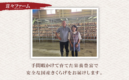 群馬県産 乾燥きくらげ (こたちゃんきくらげ)セット 60g 無添加 無農薬 国産