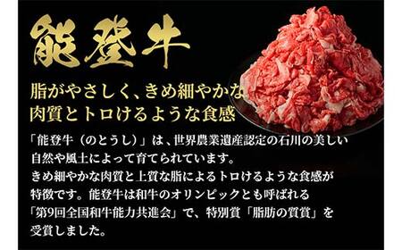 【和牛セレブ】能登牛 切り落とし 1kg（500g×2P）【2026年1月以降発送】牛 牛肉 ビーフ 肉 黒毛和牛 能登牛 和牛セレブ F6P-2530