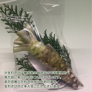 （冷蔵）わさび農家直送　無添加こだわり加工品+　生わさびDXセット 1384 ／ 大川因わさび園 わさび漬 わさび茎漬 わさび味噌 静岡県