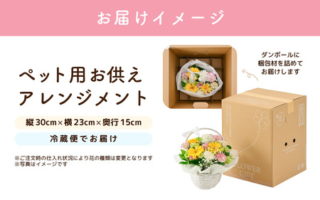 ペット用御供アレンジメント 1点 性別対応可能 【お花 フラワー アレジメント 花束 生花 花 洋花 ペット 愛犬 愛猫】 [A-20706]