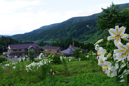 北月山荘 オリジナルTシャツ Lサイズ モンベル製 mont-bell 半袖 ユニセックス 男女兼用 夏の快適素材 高機能素材【4010-012B-L】