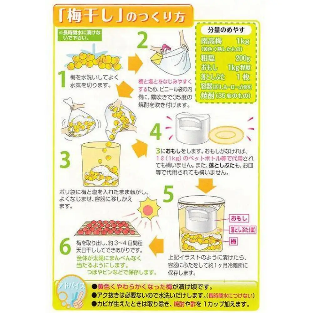［梅干・梅酒用］小粒（SまたはM－3Kg）熟南高梅＜2026年6月下旬～7月中旬発送予定＞フルーツ 果物 くだもの 食品 人気 おすすめ 送料無料［ART20］