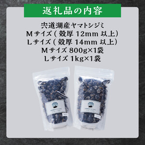 漁師直送！宍道湖産ヤマトシジミ・食べ比べ1.8kg（Lサイズ1kg+Mサイズ0.8kg）