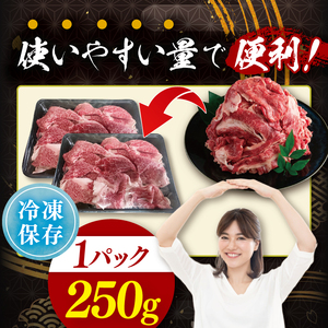 【茨城県共通返礼品】常陸牛切り落とし500g（250g×2）｜ブランド牛 銘柄牛 和牛 黒毛和牛 国産 A5・A4ランク 等級 お肉 牛肉 牛丼 すき焼き 炒め物 小分け 茨城県 大子町（DD006）