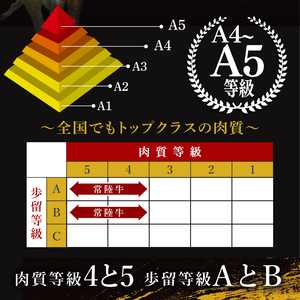 【茨城県共通返礼品】常陸牛ももステーキ400g（200g×2）【茨城県共通返礼品】｜ブランド牛 銘柄牛 和牛 黒毛和牛 国産 A5・A4ランク 等級 お肉 牛肉 ステーキ もも モモ 茨城県 大子町（DD004）