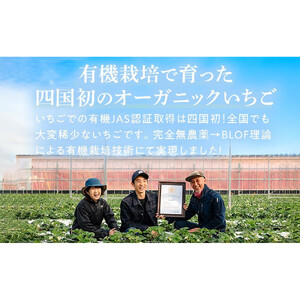 訳あり 冷凍 オーガニックいちご1kg 有機いちご 苺 さちのか