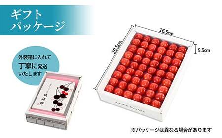 さくらんぼ 佐藤錦 300g L玉 特秀 手詰めギフト 山形県産 化粧箱入り 【令和8年度 先行予約】 FSY-2263