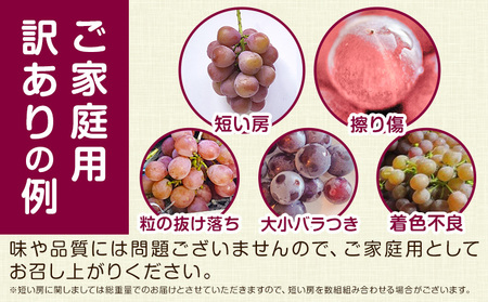 デラウェア ご家庭用デラウェア 約600g