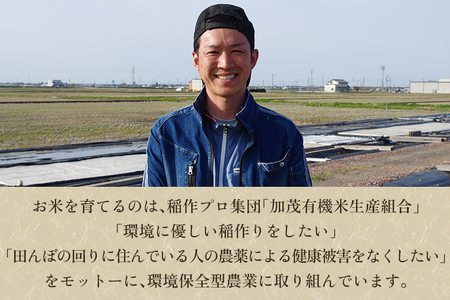 【令和7年産】新潟県加茂市産 特別栽培米コシヒカリ 精米5kg《順次出荷》 （株）ライスグローワーズ