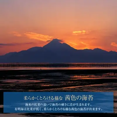 Z26-42 寄附額改定↓↓ 有明海産 味海苔 10切100枚 4本セット 合計400枚 海苔