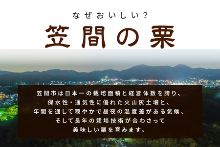 熟成生栗 2kg 3L 以上 農産物直売所すわ 国産和栗 JV-005
