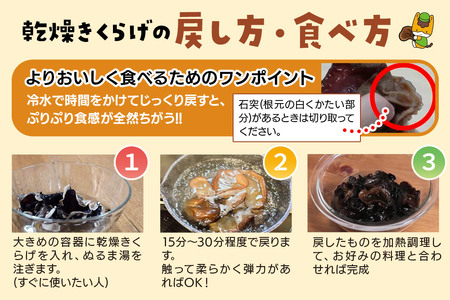 きくらげ 詰め合わせセット 群馬県産【生きくらげ 乾燥きくらげ つくだ煮】3種 計5個