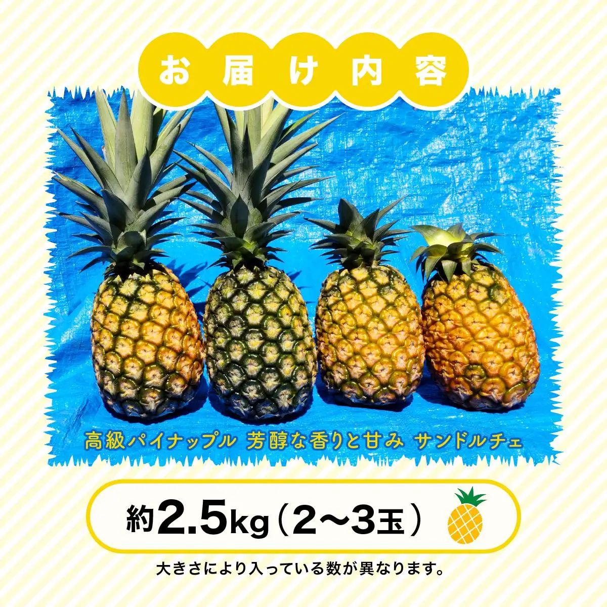 サンドルチェ 約2.5kg（2～3玉）