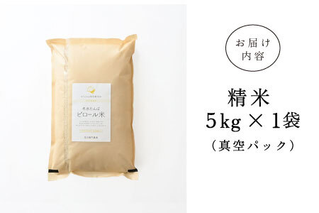 【令和7年産】ピロール農法 コシヒカリ精米5kg  真空パック