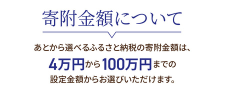 【9998-19】あとからセレクト【ふるさとギフト】寄附100万円相当