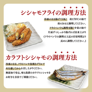 【数量限定】シシャモ シシャモフライ セット 訳あり ワケアリ 子持ちシシャモ カラフトシシャモ カラフトししゃも ししゃも 2kg 簡単調理 フライ 冷凍 魚介類 大洗 時短_AV019