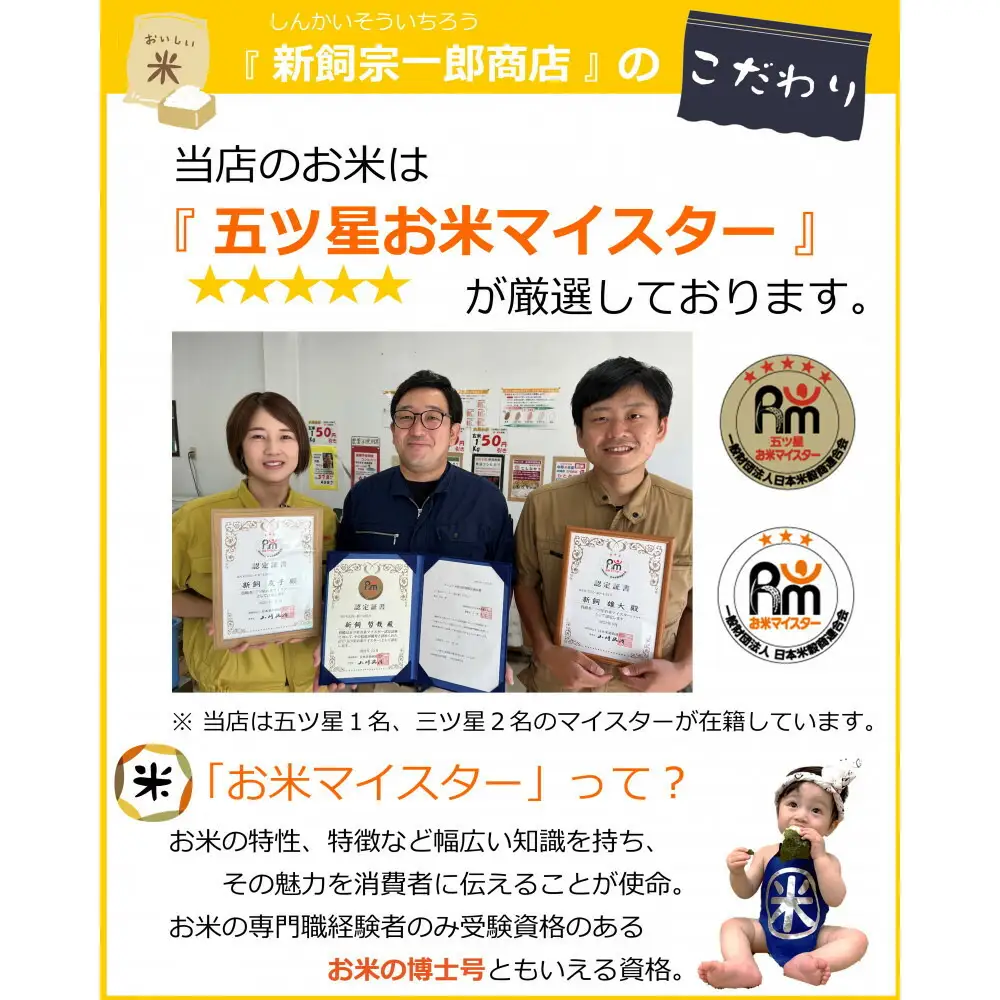 新米 福岡県産 夢つくし 5kg (5kg×1袋) (令和7年産)