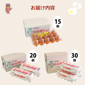 かっぱの健卵 30個 3か月定期便【大熊養鶏場】たまご 卵 玉子 タマゴ 生卵 こだわり 卵かけご飯 TKG 国産 お取り寄せ 北海道 比布町 ぴっぷ 1006-006