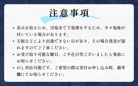 海鮮串セット タコ串 アナゴ串 アンコウ串 たこ タコ 蛸 アナゴ 穴子 あなご あんこう アンコウ 海鮮 直送 魚介 魚介類 串焼き バーベキュー