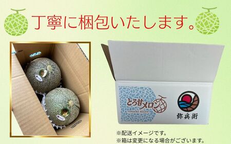 アムスメロン 2玉 メロン