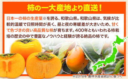 柿 たねなし柿 約4kg