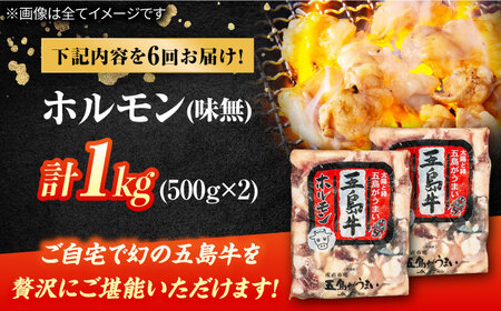 【6回定期便】幻の五島牛ホルモン 1kg 味無し 五島市/ごとう農業協同組合[PAF092]