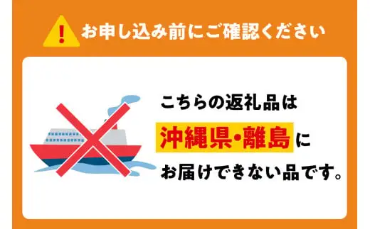 国立民族学博物館 本館展示招待券 2枚 【大阪府吹田市】家族 ミュージアム 博物館 美術館