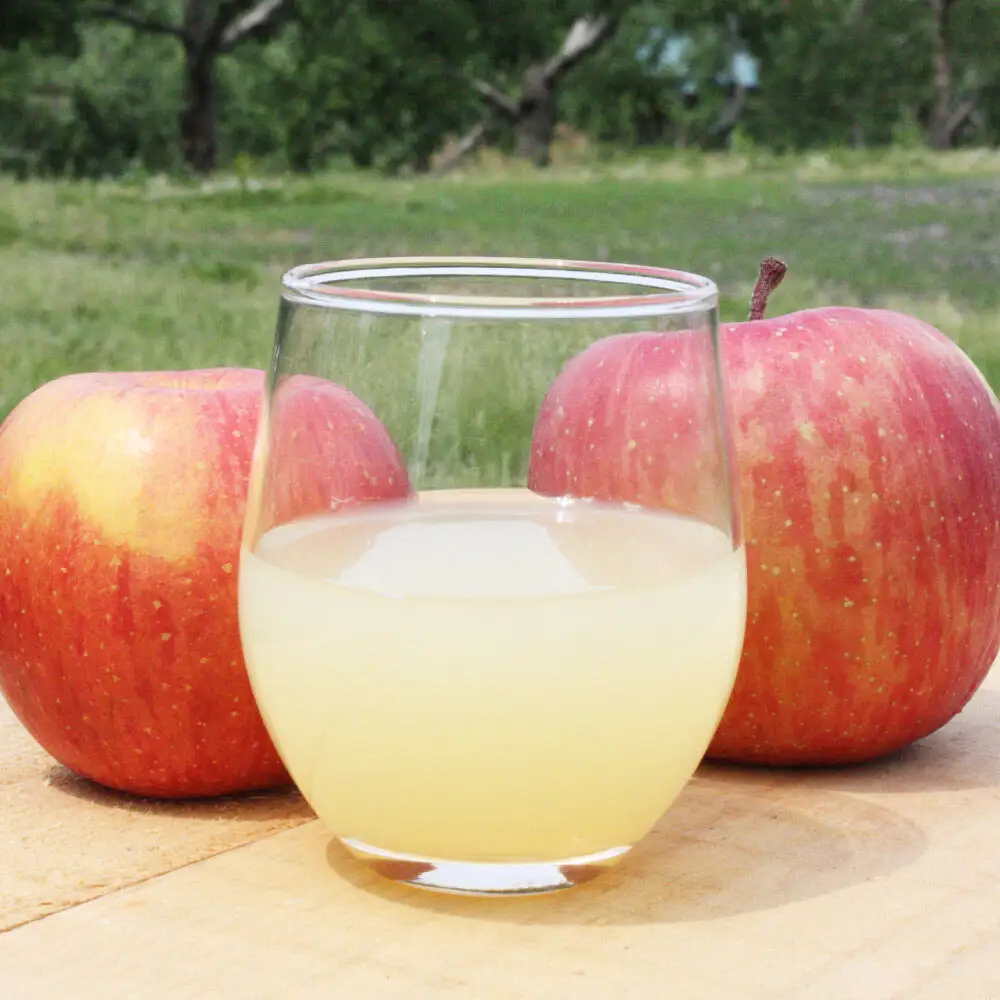 りんごジュース ストレート果汁【林檎園】1000ml×15本 紙パック ゴールド農園 かめあし商店