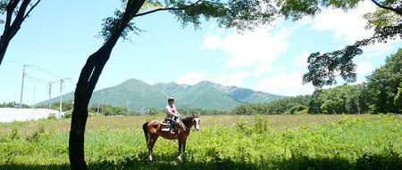 八ヶ岳南麓 お手軽に乗馬レッスンと外乗のセットプラン（90分コース） [h008]