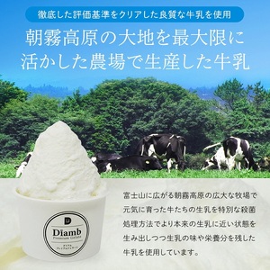 0012-95-04 Diamb Premium Gelato (ダイアムプレミアムジェラート) 100ml×6個 【フレーバー3種：ミルク・チョコ・キャラメル】