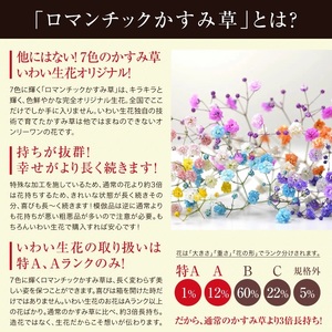 ミックススマイルバスケット ｜ フラワーアレンジメント 生花 花 ギフト ロマンチックかすみ草 七色 輝く カスミソウ カスミ草 かすみそう お祝い プレゼント アレンジ花 カラフル おしゃれ