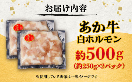 あか牛白 ホルモン 約500g ホルモン BHCY009