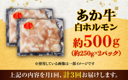 全3回定期便 あか牛 白 ホルモン 約500g ホルモン BHCY010