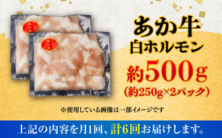 全6回定期便 あか牛白 ホルモン 約500g ホルモン BHCY011