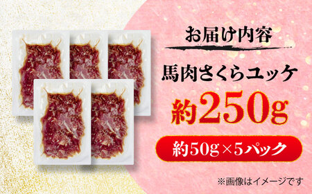 馬肉さくら ユッケ 約250g ユッケ BHCY029