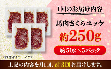 全3回定期便 馬肉さくら ユッケ 約250g ユッケ BHCY030