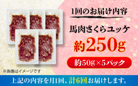 全6回定期便 馬肉さくら ユッケ 約250g ユッケ BHCY031