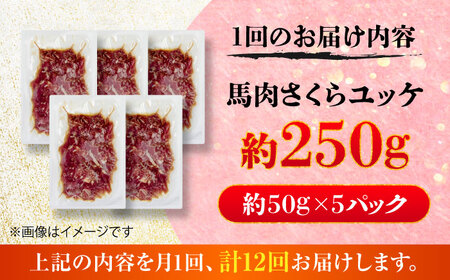 全12回定期便 馬肉さくら ユッケ 約250g ユッケ BHCY032