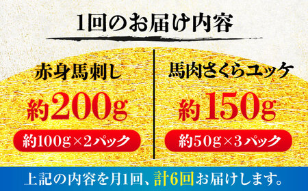 全6回定期便 赤身馬刺し・馬肉さくら ユッケ セット ユッケ BHCY035