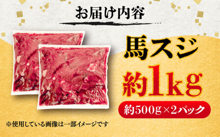 馬スジ 約1kg 馬肉 馬肉 BHCY041