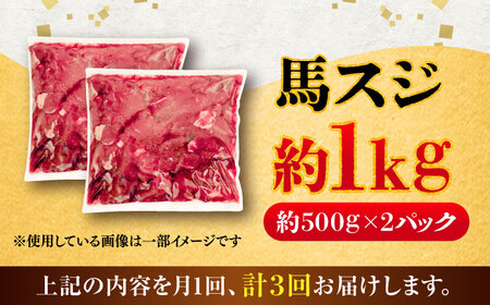 全3回定期便 馬スジ 約1kg 馬肉 馬肉 BHCY042
