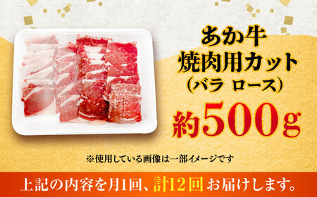 【全12回定期便】熊本あか牛 焼肉 用カット(バラ ロース) 約500g 焼肉 BHCY048