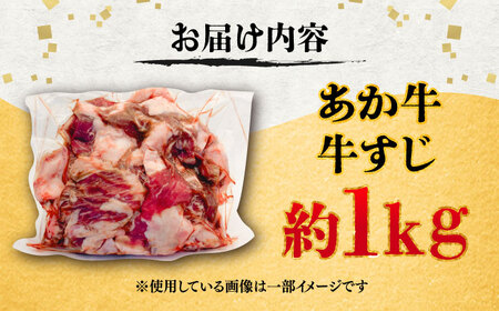 熊本あか 牛スジ 約1kg  牛スジ BHCY049