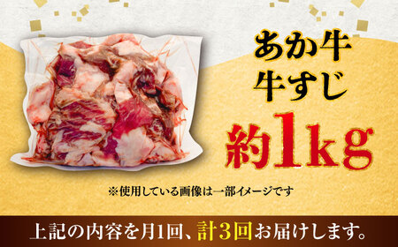 【全3回定期便】熊本あか 牛スジ 約1kg 牛スジ BHCY050