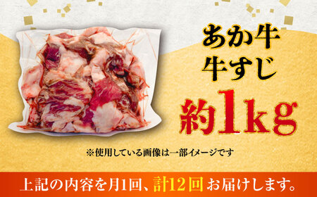 【全12回定期便】熊本あか 牛スジ 約1kg 牛スジ BHCY052